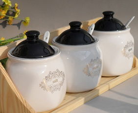 精品創(chuàng)意陶瓷調(diào)味罐 調(diào)味罐圖帶你進入快樂廚房